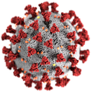 Computer image of the corona virus